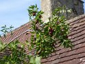 2018-09-18 14-27-50 Rando Combas FGn